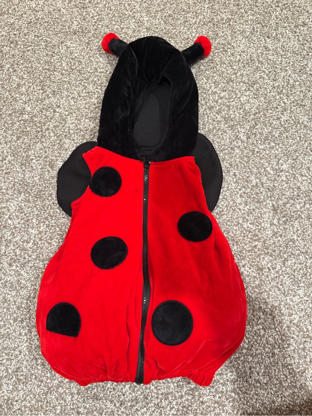 2T Red and Black Ladybug Costume
